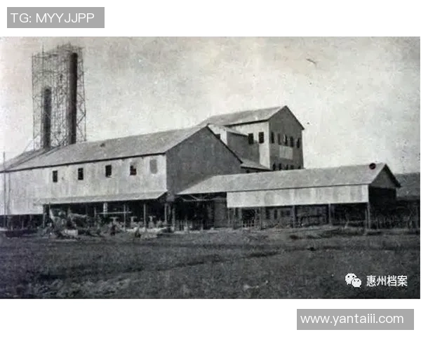 南京篮球队的成长历程与钻石联赛的辉煌征程全景回顾