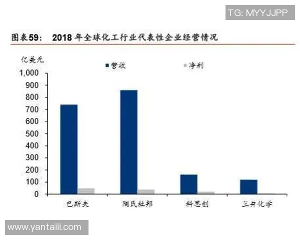 南京篮球队实力解析：聚焦球队发展与未来展望