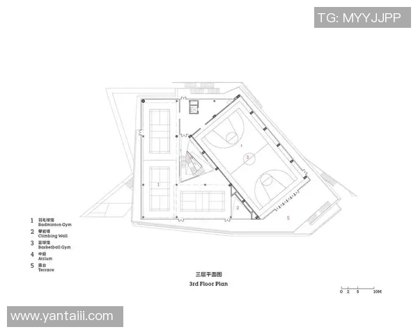 南京攀岩队近期状态全面对比分析及未来发展趋势探讨