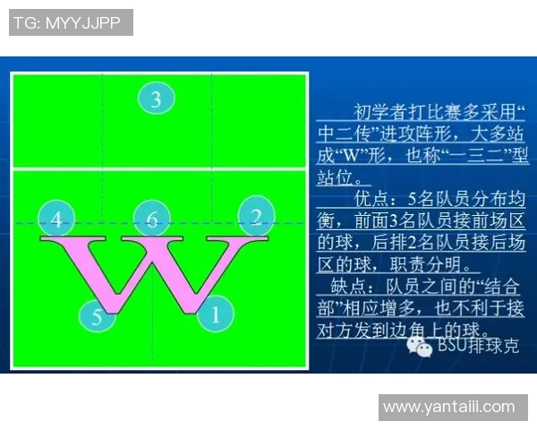 南京排球队中路突破打法的深度分析与战术解析